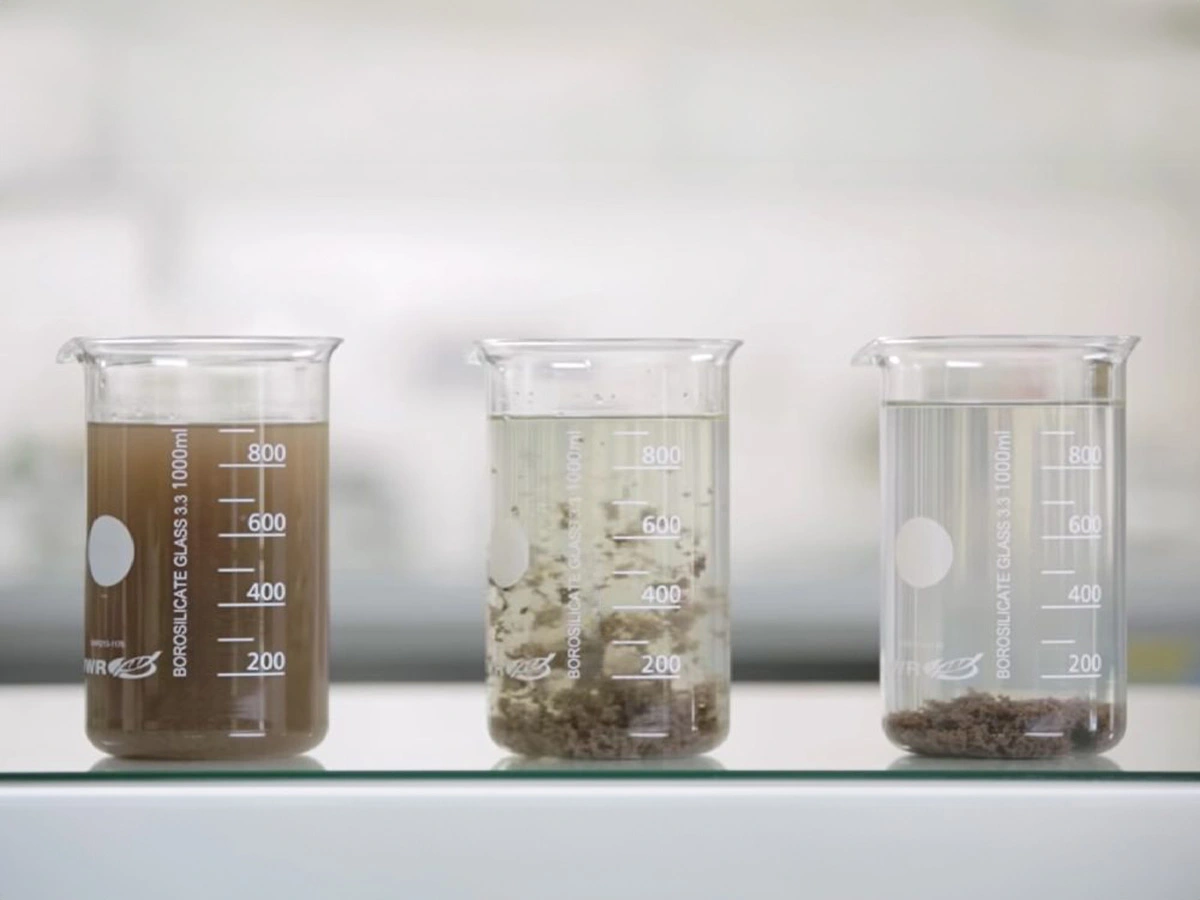 immagine flocculante flocculazione